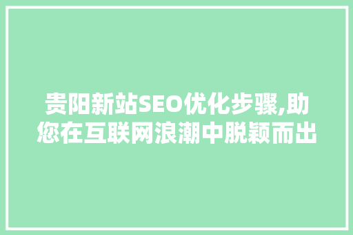 贵阳新站SEO优化步骤,助您在互联网浪潮中脱颖而出