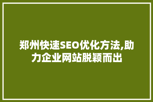 郑州快速SEO优化方法,助力企业网站脱颖而出 建站教程