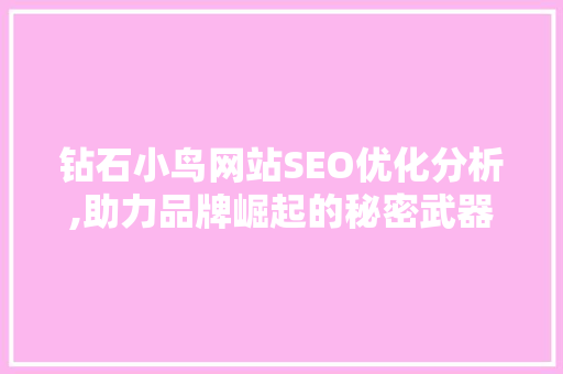 钻石小鸟网站SEO优化分析,助力品牌崛起的秘密武器 SEO教程