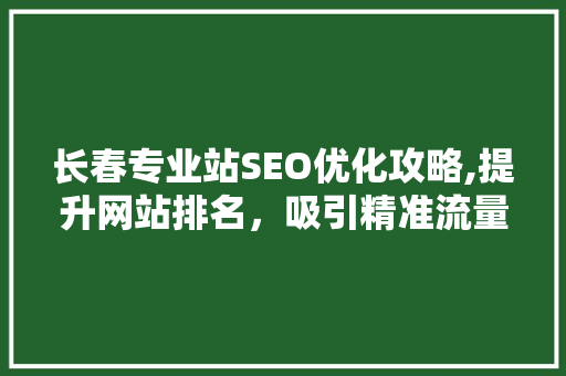 长春专业站SEO优化攻略,提升网站排名，吸引精准流量 SEO教程