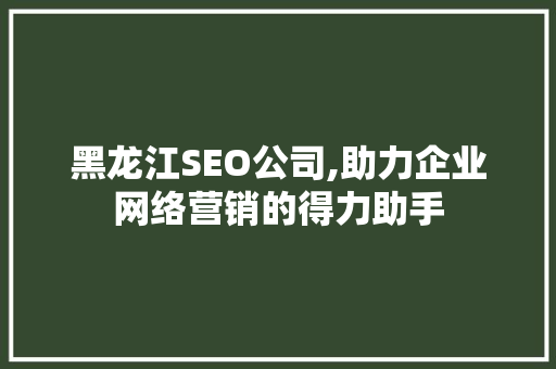 黑龙江SEO公司,助力企业网络营销的得力助手