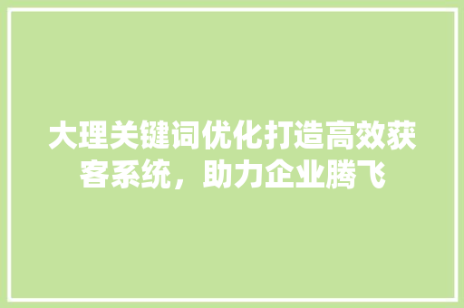 大理关键词优化打造高效获客系统，助力企业腾飞