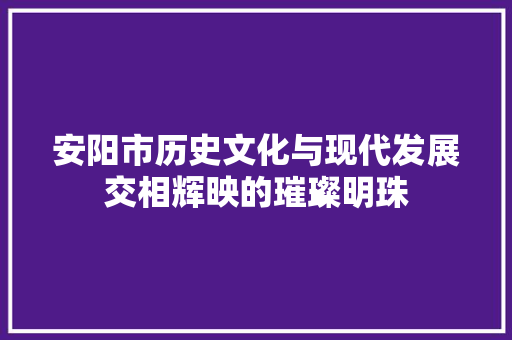 安阳市历史文化与现代发展交相辉映的璀璨明珠 SEO教程