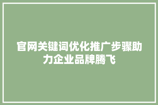 官网关键词优化推广步骤助力企业品牌腾飞