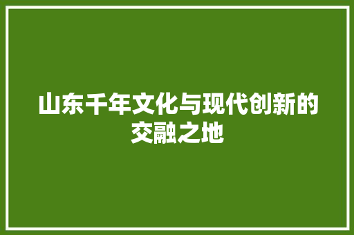 山东千年文化与现代创新的交融之地