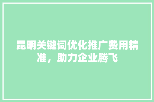 昆明关键词优化推广费用精准，助力企业腾飞