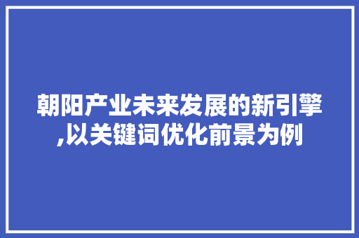 朝阳产业未来发展的新引擎,以关键词优化前景为例