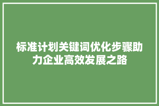 标准计划关键词优化步骤助力企业高效发展之路