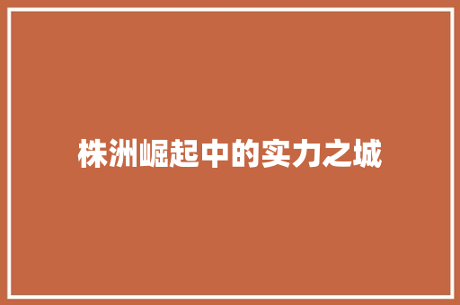 株洲崛起中的实力之城