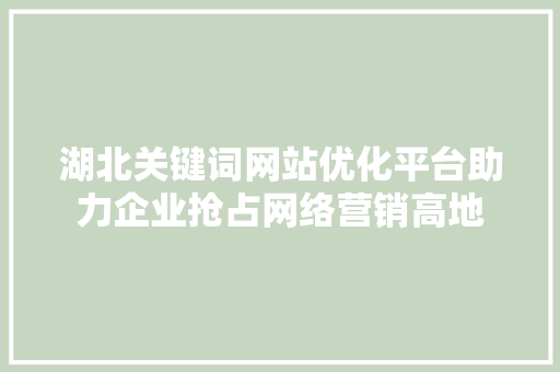 湖北关键词网站优化平台助力企业抢占网络营销高地