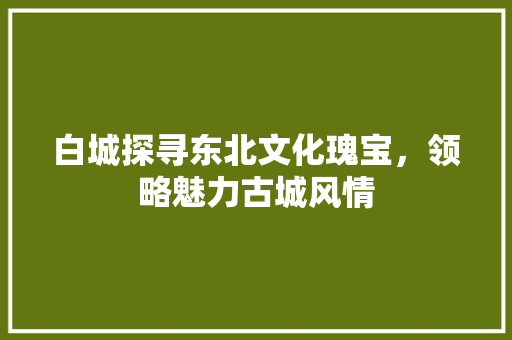 白城探寻东北文化瑰宝，领略魅力古城风情
