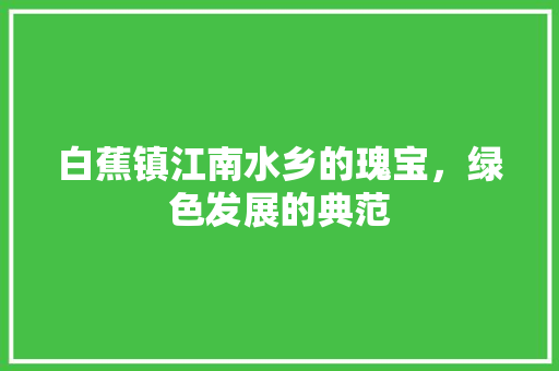 白蕉镇江南水乡的瑰宝，绿色发展的典范