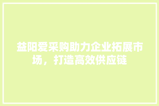 益阳爱采购助力企业拓展市场，打造高效供应链