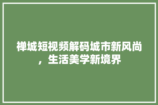 禅城短视频解码城市新风尚，生活美学新境界 WordPress教程