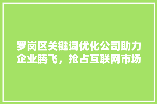 罗岗区关键词优化公司助力企业腾飞，抢占互联网市场制高点
