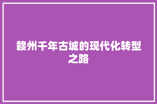 赣州千年古城的现代化转型之路