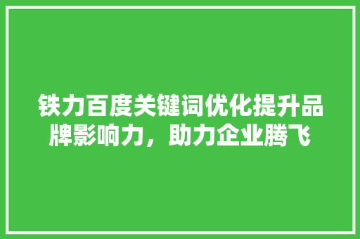 铁力百度关键词优化提升品牌影响力，助力企业腾飞 友链在线