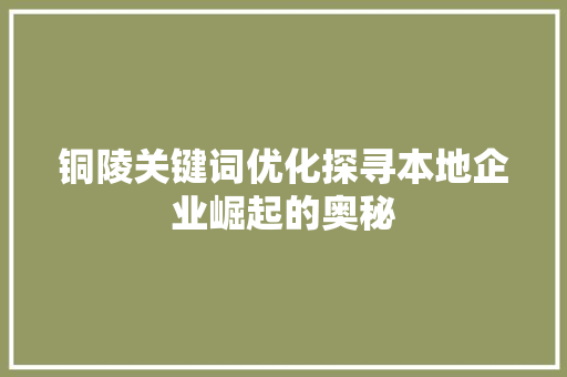 铜陵关键词优化探寻本地企业崛起的奥秘