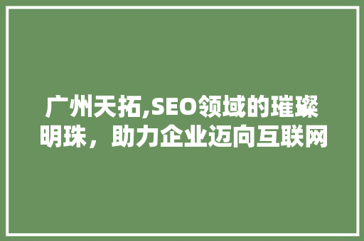 广州天拓,SEO领域的璀璨明珠，助力企业迈向互联网新高峰 建站教程