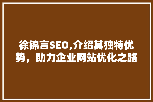 徐锦言SEO,介绍其独特优势，助力企业网站优化之路 WordPress教程