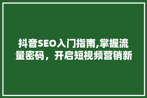 抖音SEO入门指南,掌握流量密码，开启短视频营销新篇章