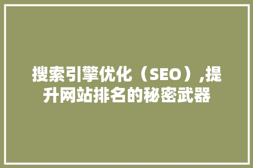 搜索引擎优化（SEO）,提升网站排名的秘密武器