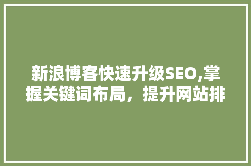 新浪博客快速升级SEO,掌握关键词布局，提升网站排名