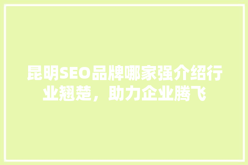 昆明SEO品牌哪家强介绍行业翘楚，助力企业腾飞