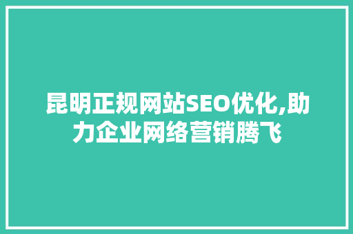 昆明正规网站SEO优化,助力企业网络营销腾飞