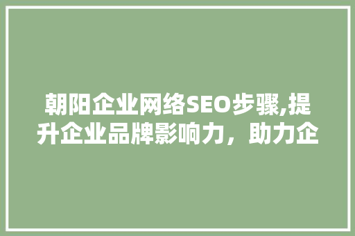 朝阳企业网络SEO步骤,提升企业品牌影响力，助力企业腾飞