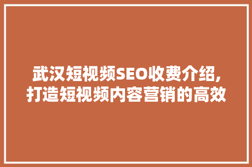 武汉短视频SEO收费介绍,打造短视频内容营销的高效之路