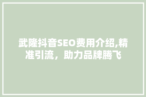 武隆抖音SEO费用介绍,精准引流，助力品牌腾飞