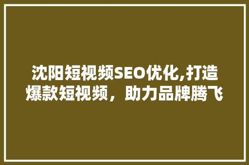 沈阳短视频SEO优化,打造爆款短视频，助力品牌腾飞 Web前端