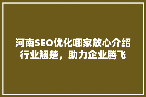河南SEO优化哪家放心介绍行业翘楚，助力企业腾飞