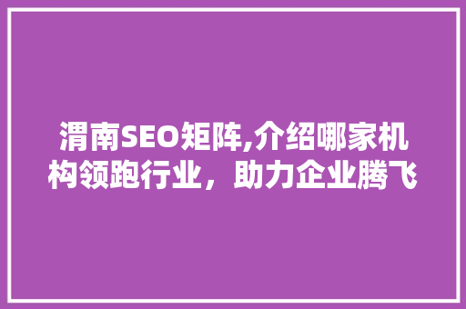 渭南SEO矩阵,介绍哪家机构领跑行业，助力企业腾飞