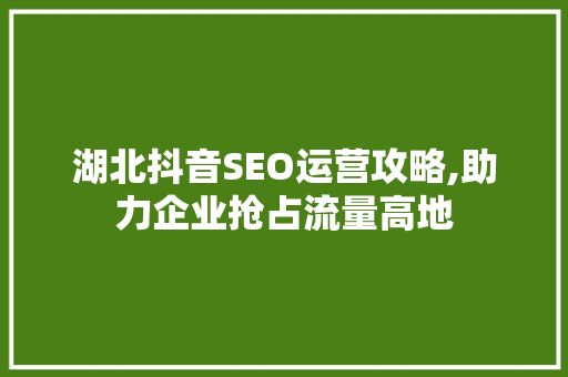 湖北抖音SEO运营攻略,助力企业抢占流量高地
