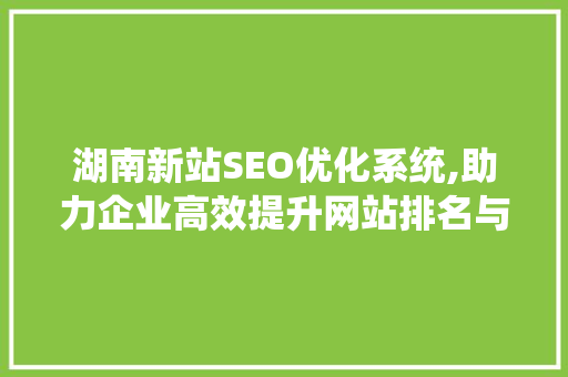 湖南新站SEO优化系统,助力企业高效提升网站排名与流量 建站教程