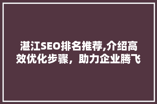 湛江SEO排名推荐,介绍高效优化步骤，助力企业腾飞