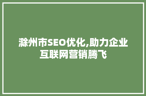 滁州市SEO优化,助力企业互联网营销腾飞