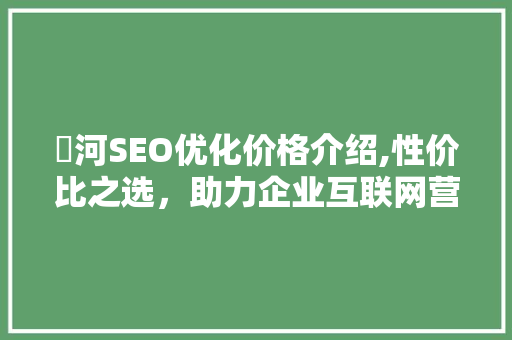 瀍河SEO优化价格介绍,性价比之选，助力企业互联网营销新篇章