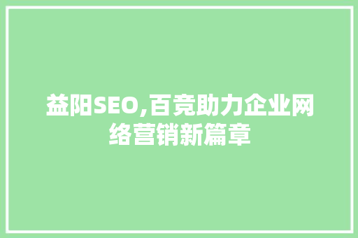 益阳SEO,百竞助力企业网络营销新篇章 Web前端