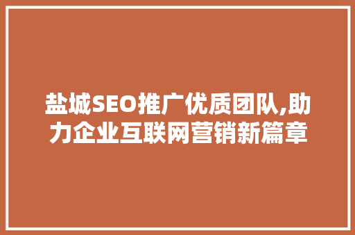 盐城SEO推广优质团队,助力企业互联网营销新篇章 Web前端