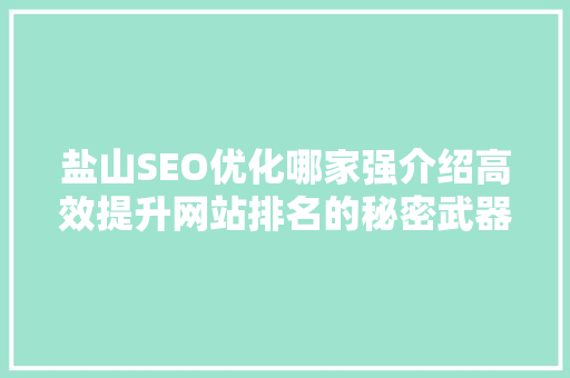 盐山SEO优化哪家强介绍高效提升网站排名的秘密武器 Web前端