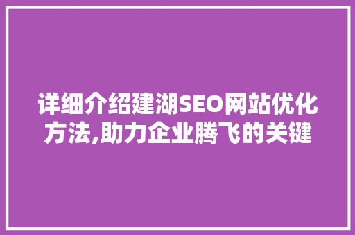 详细介绍建湖SEO网站优化方法,助力企业腾飞的关键步骤 Web前端