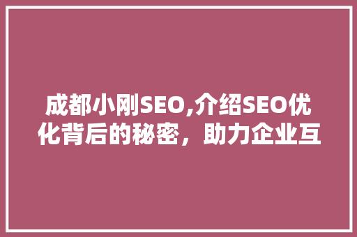 成都小刚SEO,介绍SEO优化背后的秘密，助力企业互联网营销新篇章