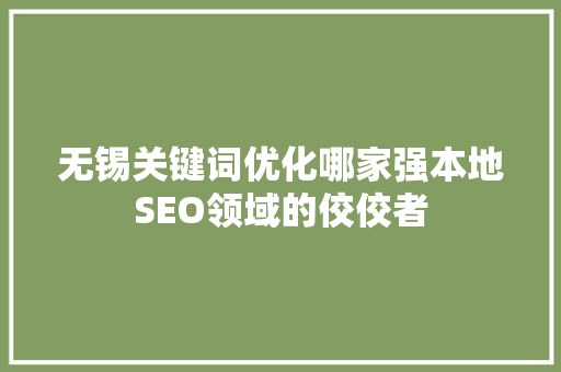 无锡关键词优化哪家强本地SEO领域的佼佼者