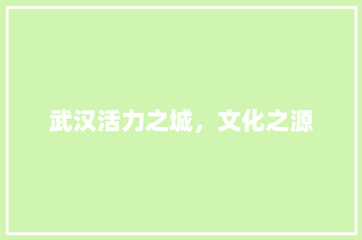 武汉活力之城，文化之源