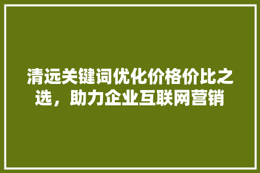 清远关键词优化价格价比之选，助力企业互联网营销