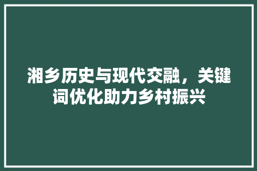湘乡历史与现代交融，关键词优化助力乡村振兴 SEO教程