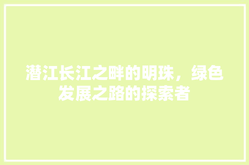 潜江长江之畔的明珠，绿色发展之路的探索者 Web前端